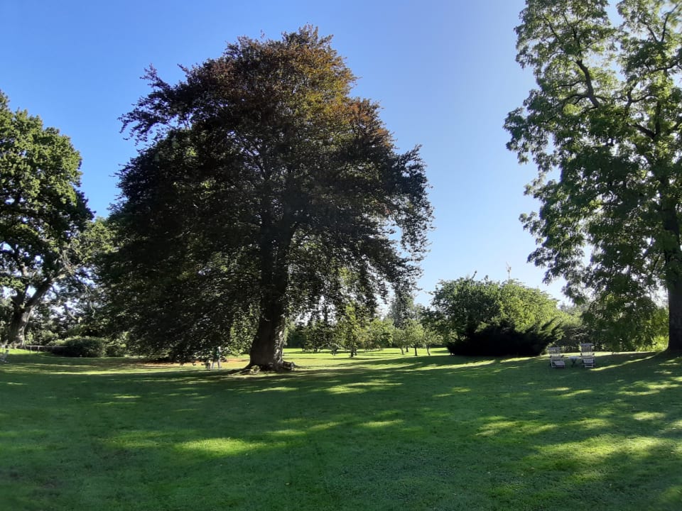 Gartenanlage Ferien & Pferdehof Gut Klein Nienhagen