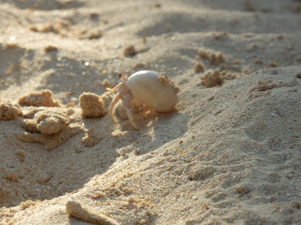 Strand Three Corners Rihana Resort Deluxe