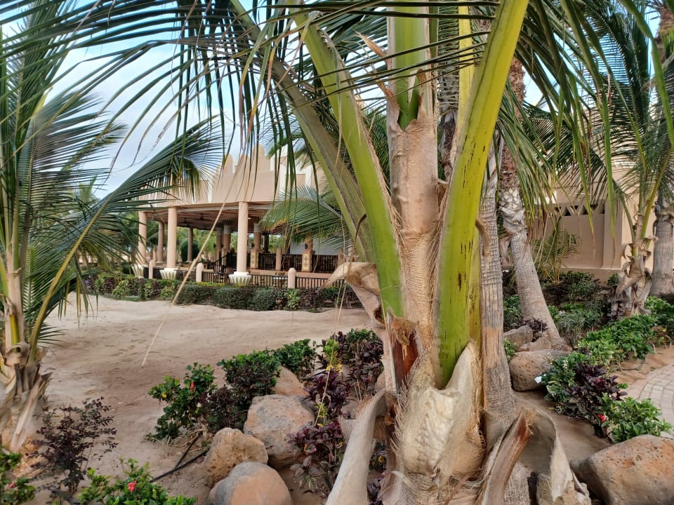 Gartenanlage Hotel Riu Cabo Verde