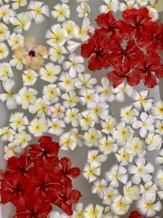 Zimmer Hotel Lanka Princess Ayurveda