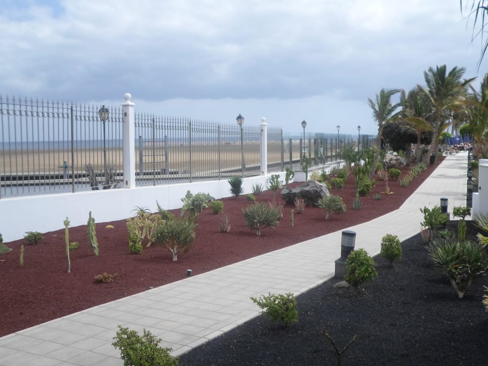 Gartenanlage Hotel Las Costas