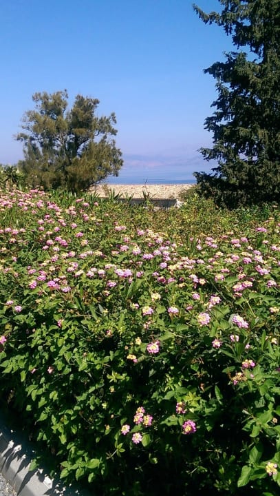 Wunderschön Aeolos Beach Resort