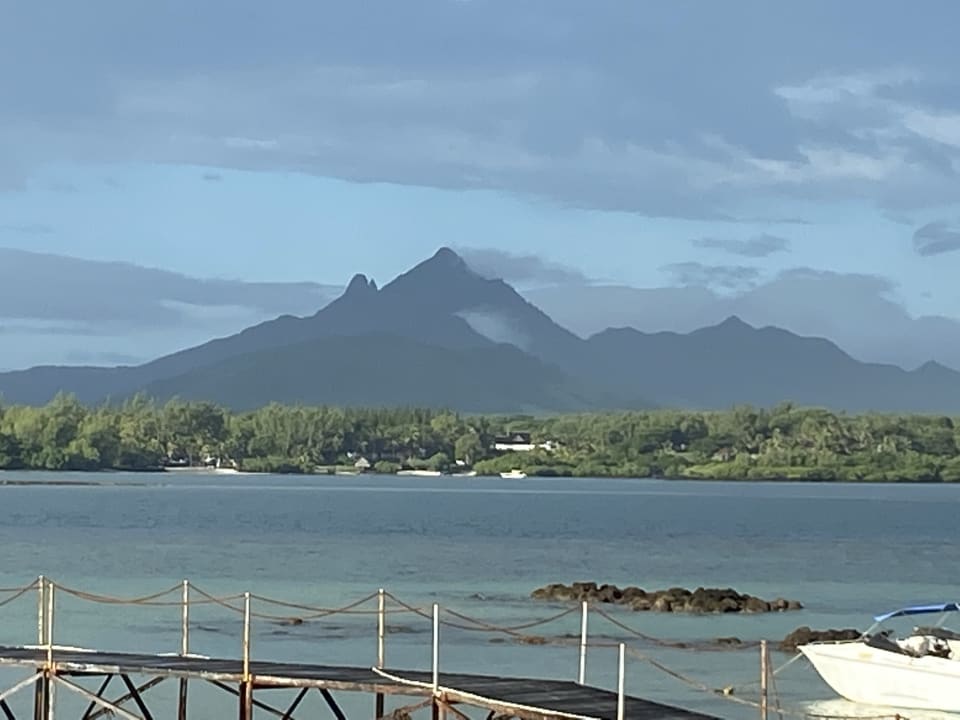 Ausblick Tropical Attitude - Adults only