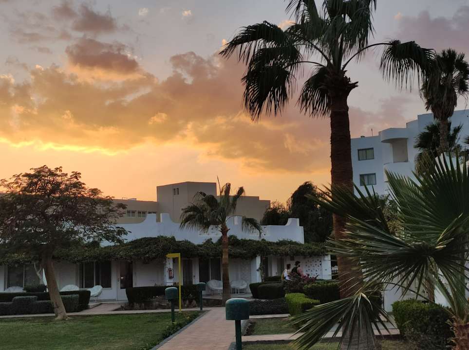 Gartenanlage Shams Safaga Resort