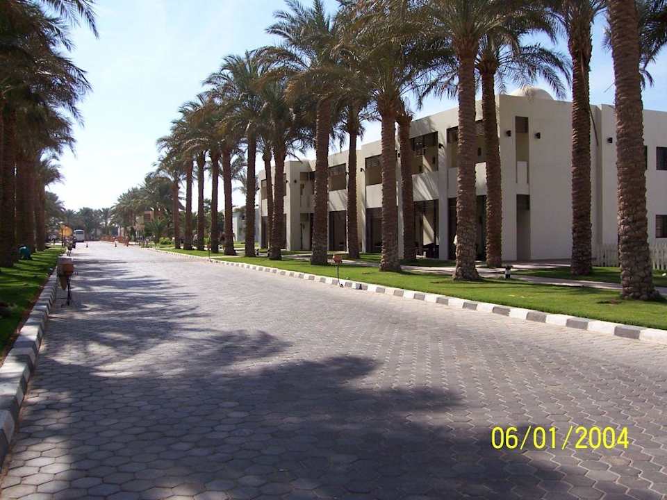 Einfahrtsstrasse, rechts der 1200er Block Hotel Reef Oasis Palms