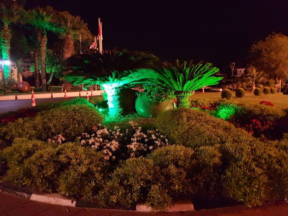 Gartenanlage Salamis Bay Conti Resort Hotel & Casino