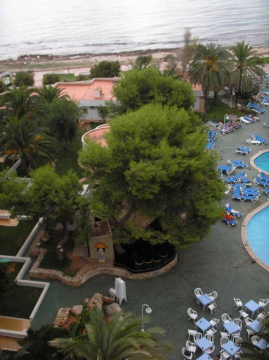 Blick auf die Poolbühne Hotel Palia Sa Coma Playa
