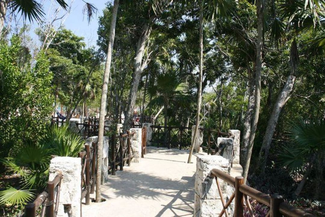 Weg zum Strand Iberostar Waves Paraiso del Mar