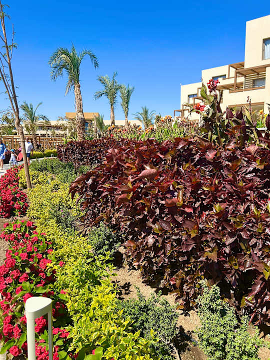 Gartenanlage JAZ Elite Riviera