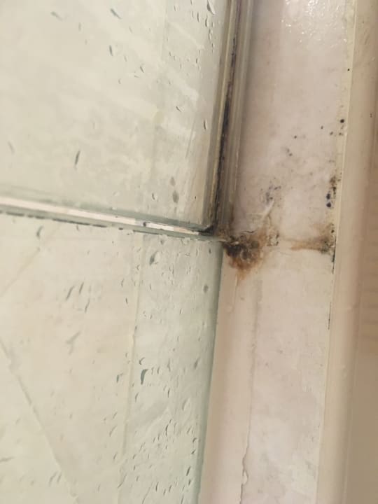 Zimmer Effect Grand Victoria Hotel