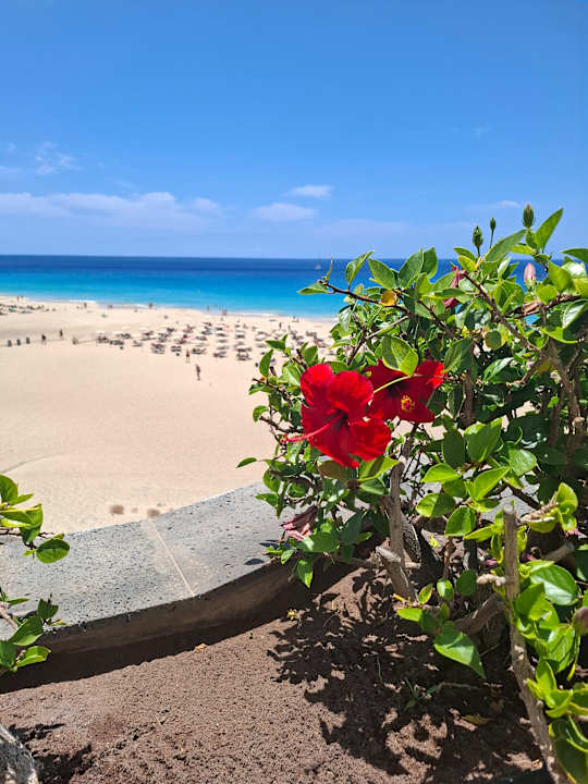 Ausblick Hotel Riu Palace Jandia