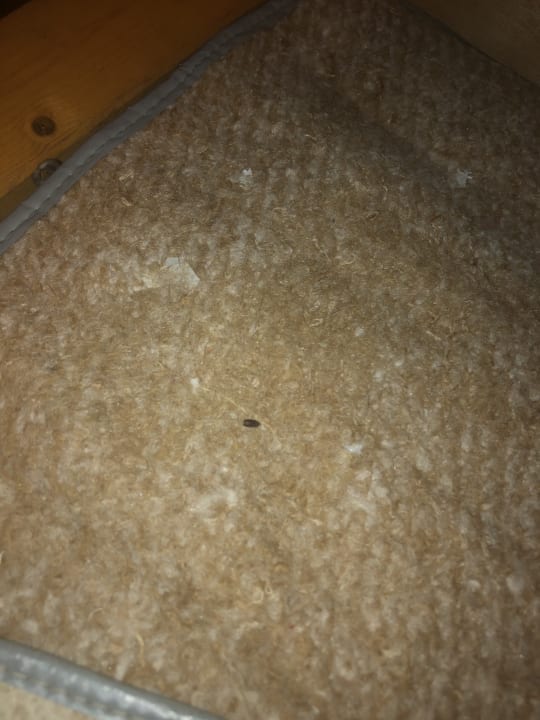 Zimmer Gasthof Am Turm