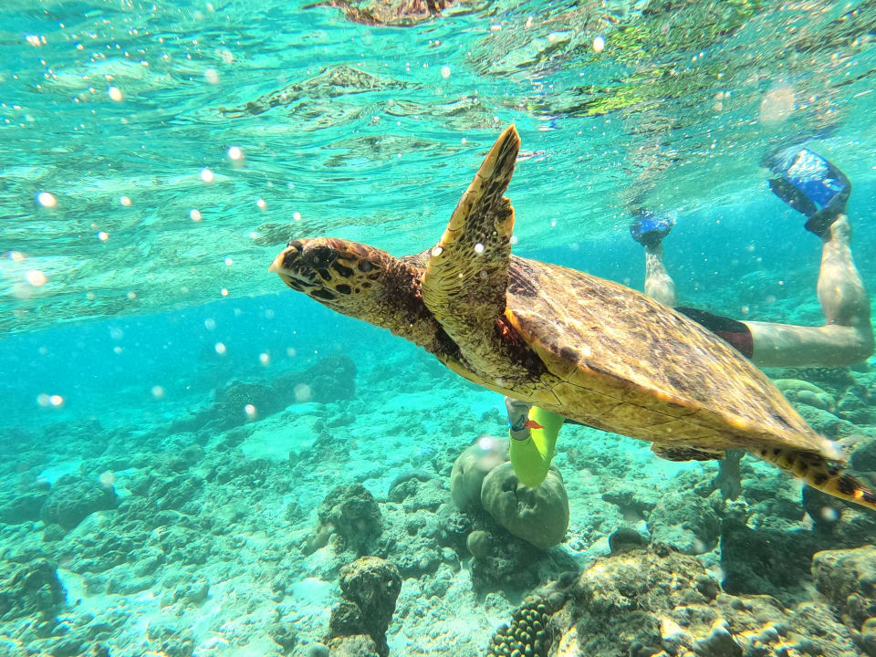 Sport & Freizeit NH Collection Maldives Reethi Resort