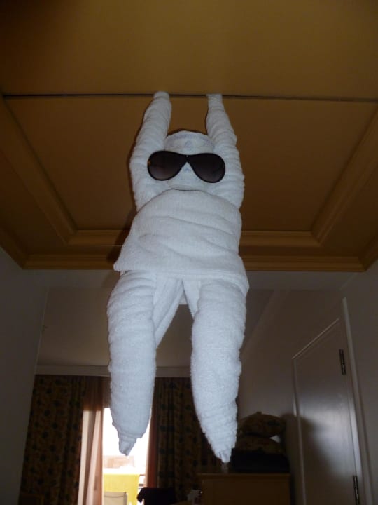 Haustier Concorde El Salam Hotel Sharm el Sheikh by Royal Tulip