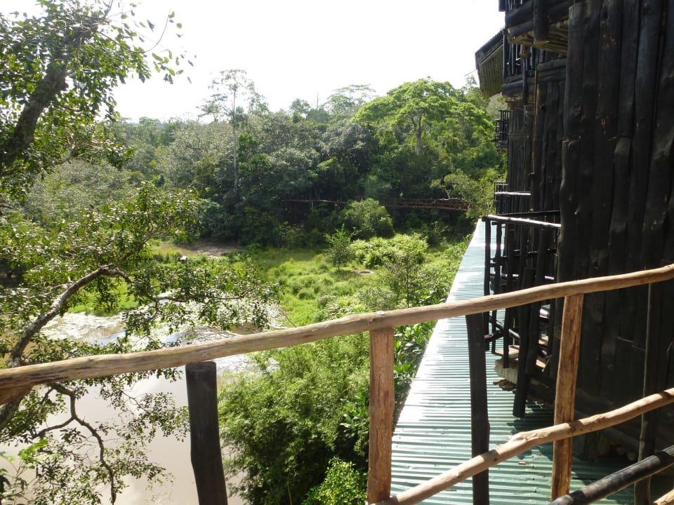 Blick in die Natur Shimba Hills Lodge