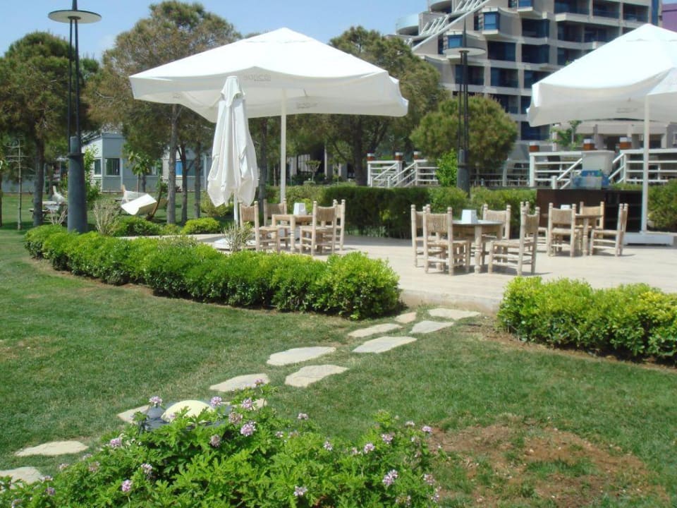 Столики для поедания лепешек Susesi Luxury Resort