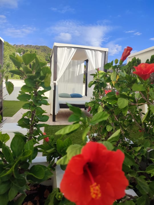 Pool BQ Bulevar Paguera - Adults only