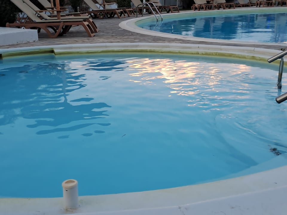 Pool Hotel Albatros