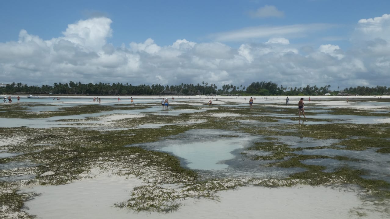 Strand Neptune Paradise Beach Resort & Spa
