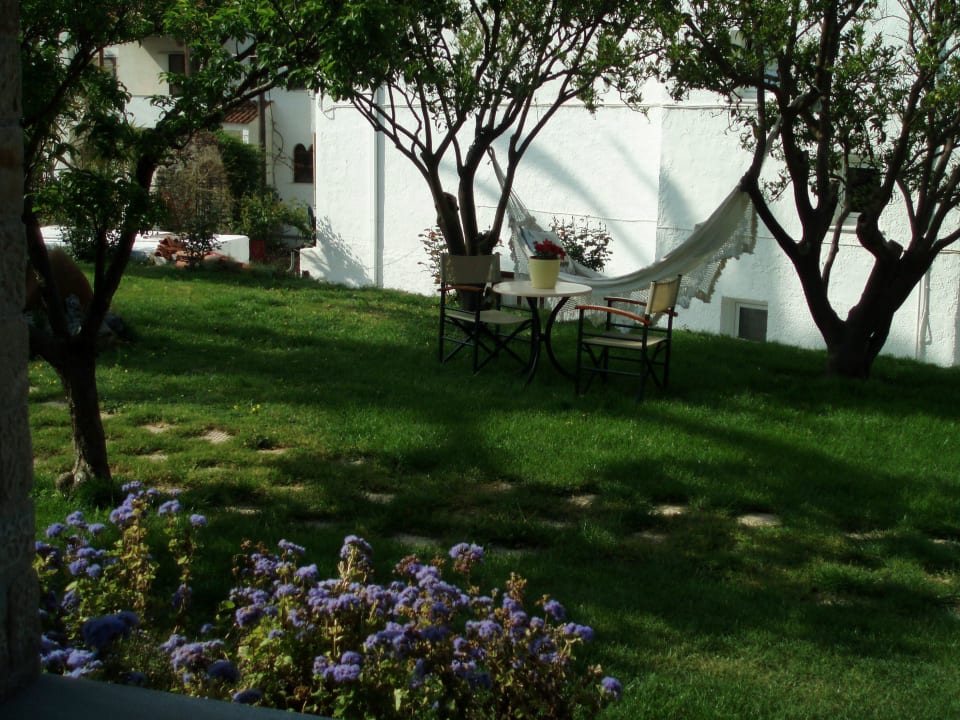 A book or a drink at the hammock Scorpios Hotel & Suites