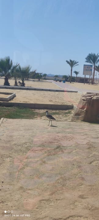 Strand Three Corners Sea Beach Resort