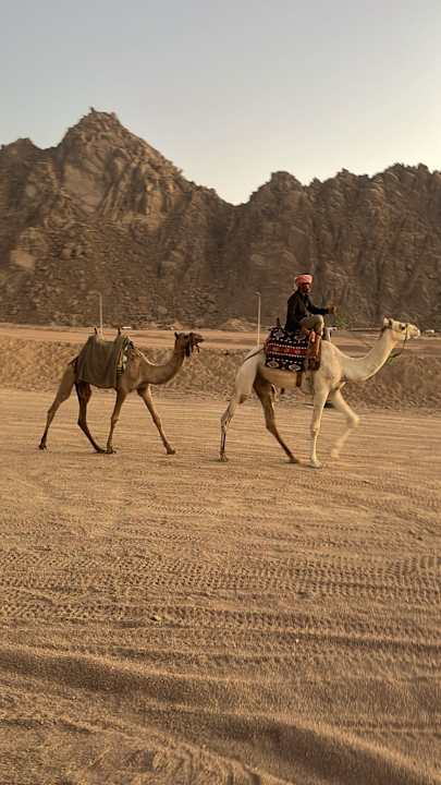 Sonstiges SUNRISE Diamond Beach Resort - Grand Select