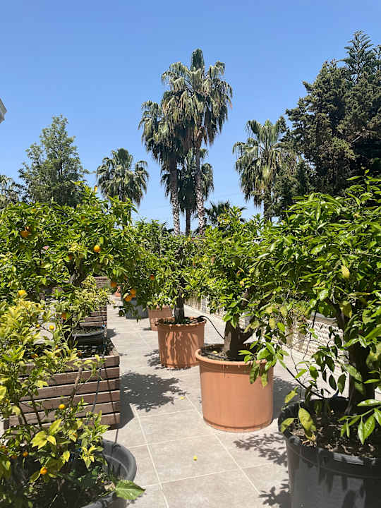 Außenansicht Hane Family Resort