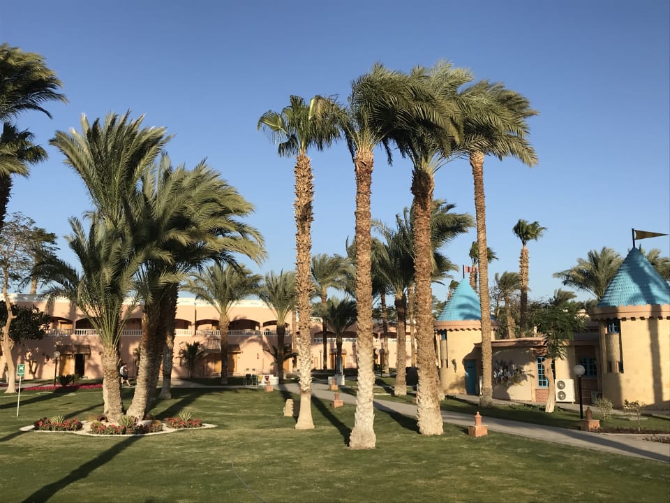 Gartenanlage Beach Albatros Resort