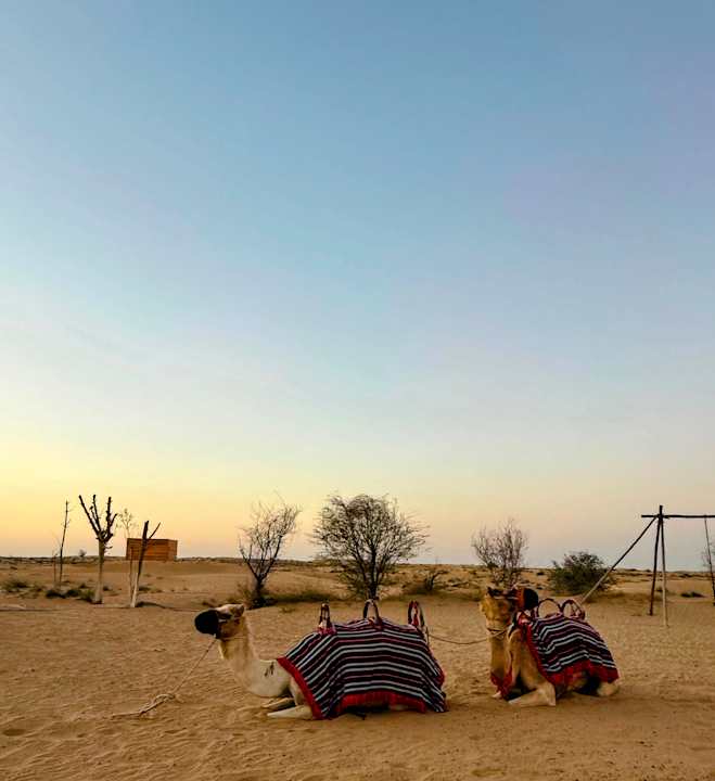 Sport & Freizeit Al Marmoom Oasis Luxury Experiential Desert Domes