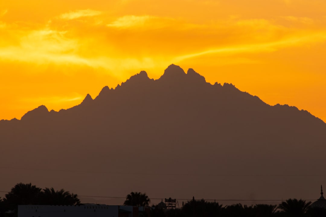Ausblick Desert Rose