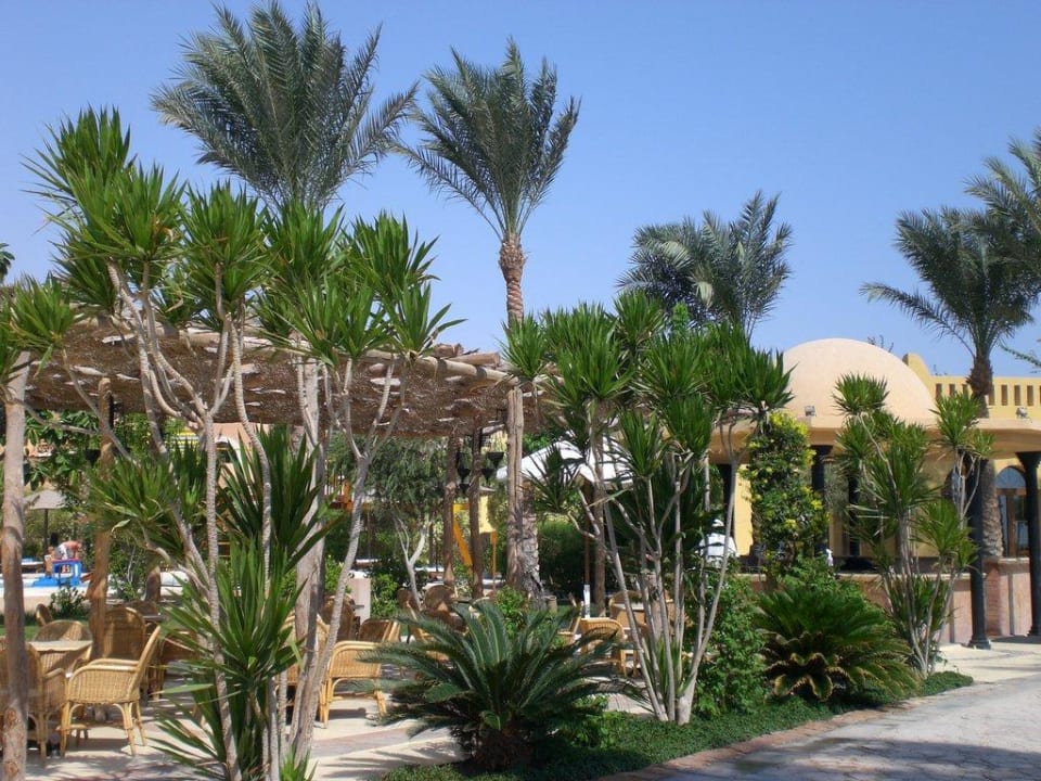 Eine der vielen Snack-Bars  Grand Makadi