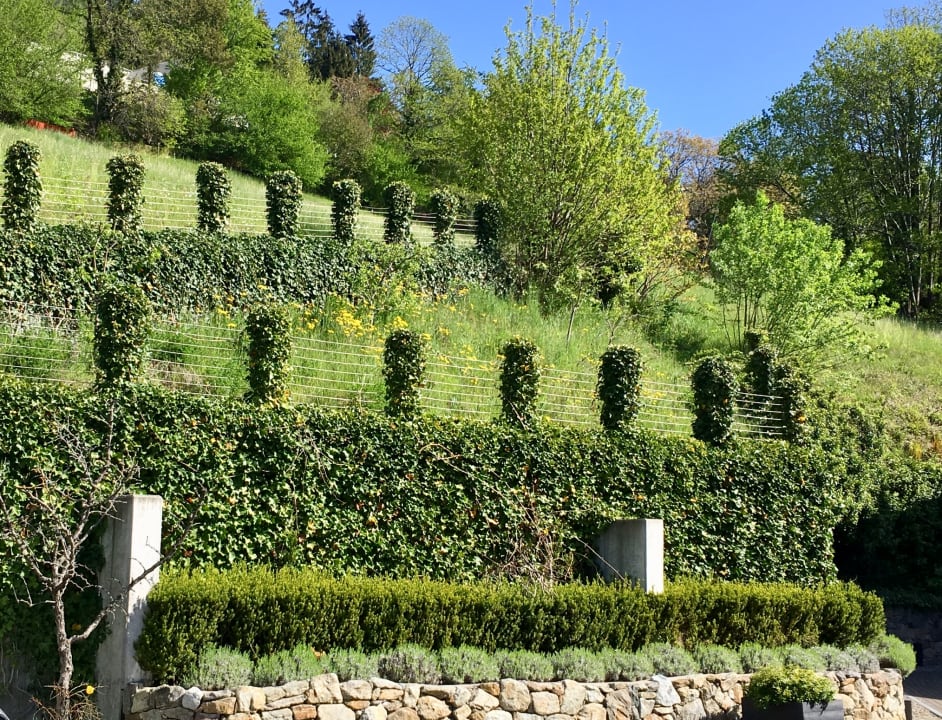 Gartenanlage Hotel Der Küglerhof