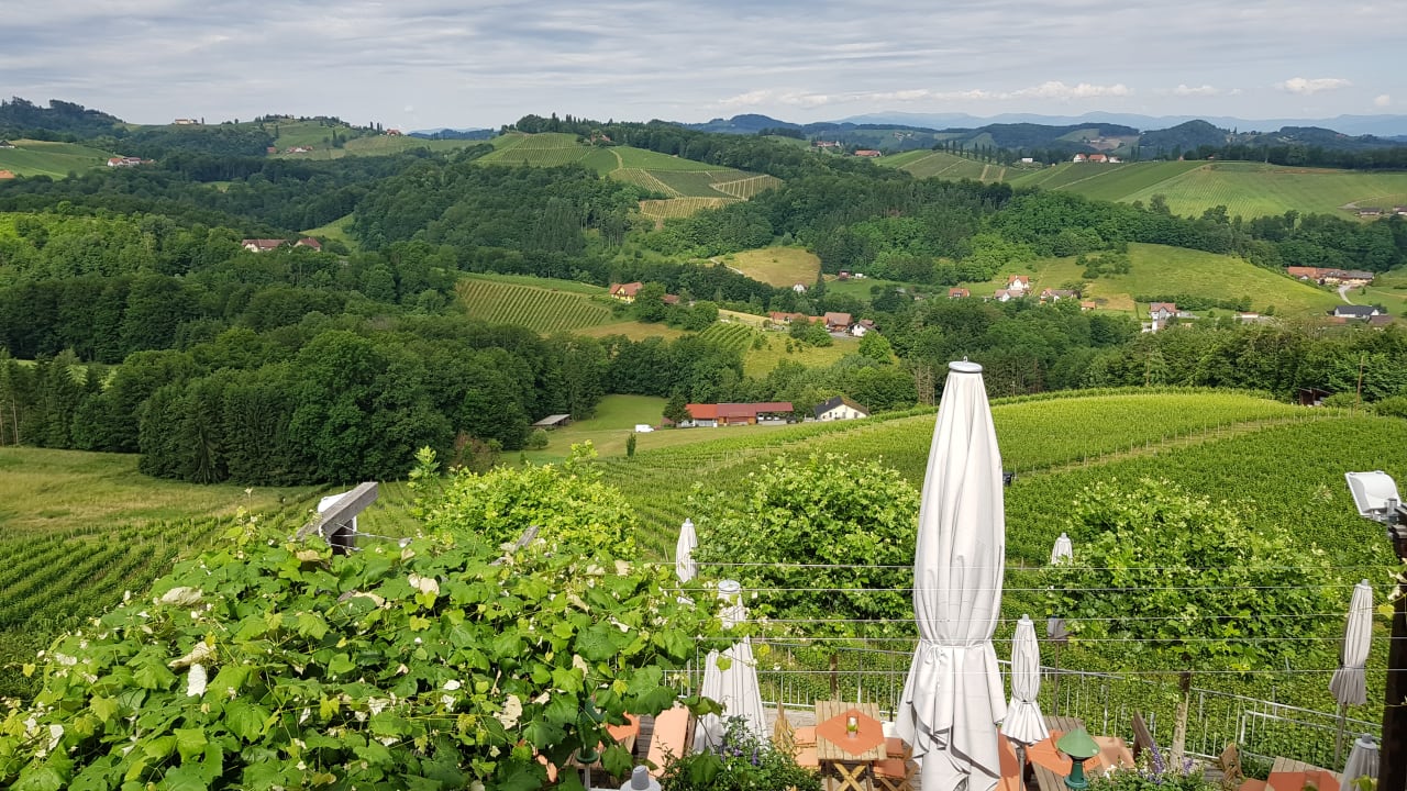 Ausblick Pension Weingut Skoff Original