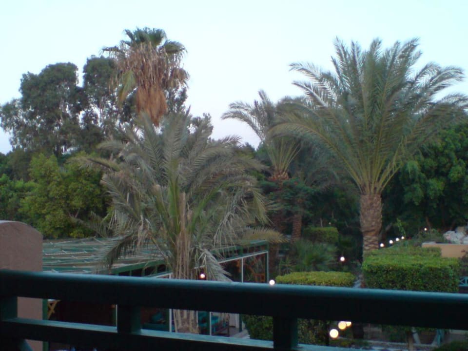 Ausblick von der Terrasse Giftun Azur Resort