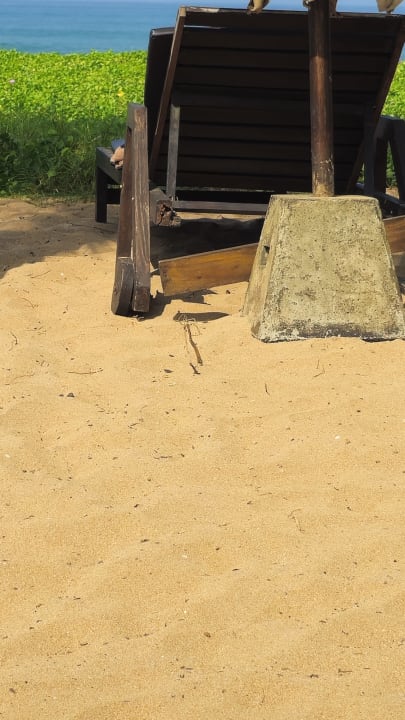 Strand Pandanus Beach Resort & Spa