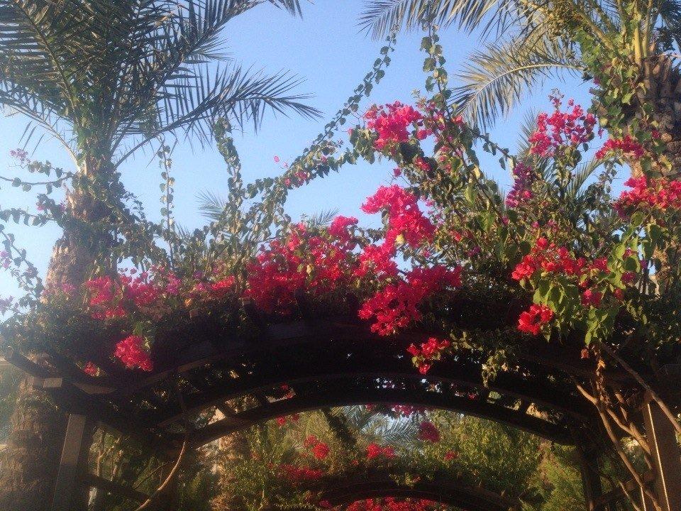 Цветoчки Crystal Family Comfort Collection