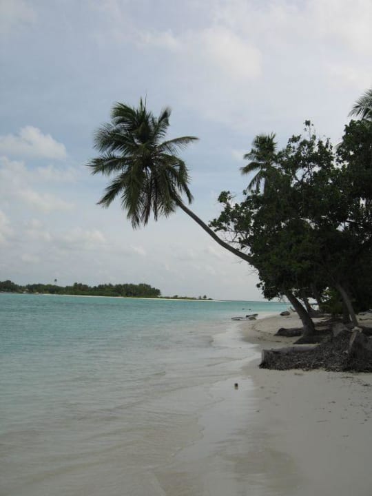 Traumstrand Meeru Maldives Resort Island