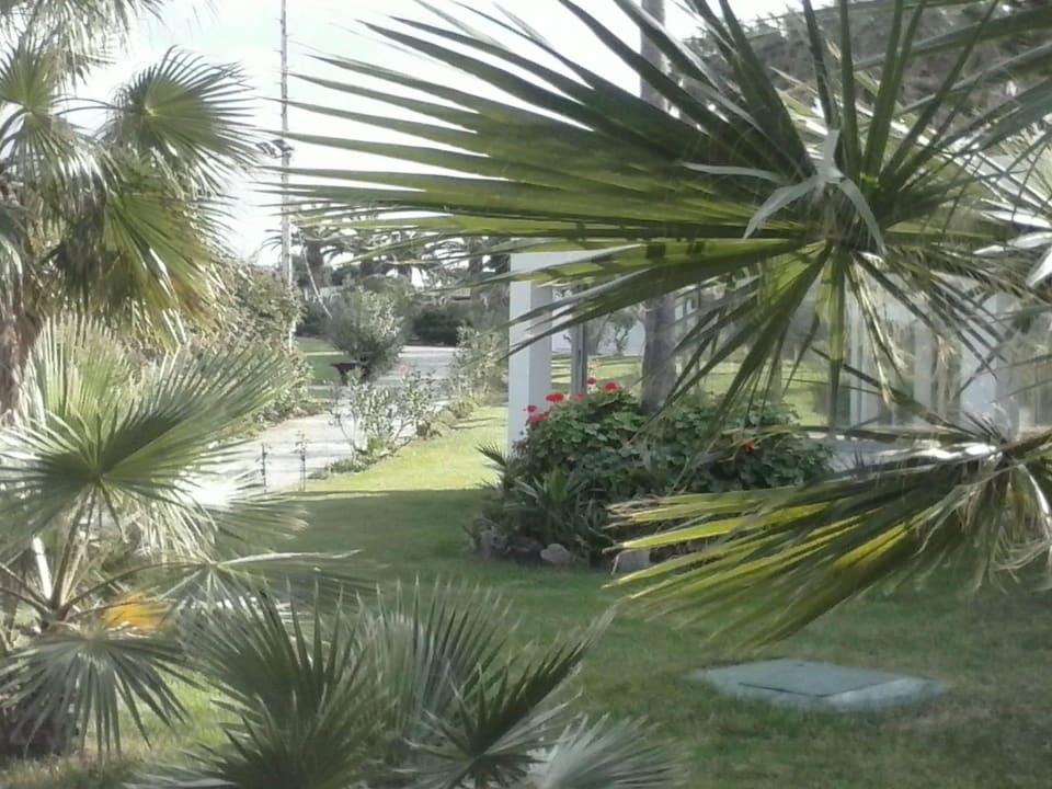 Grüne Oase Lyttos Beach Hotel
