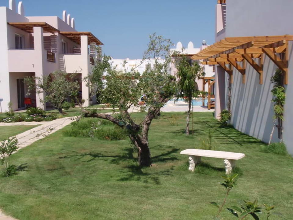 Olive tree Hotel Gaia Palace