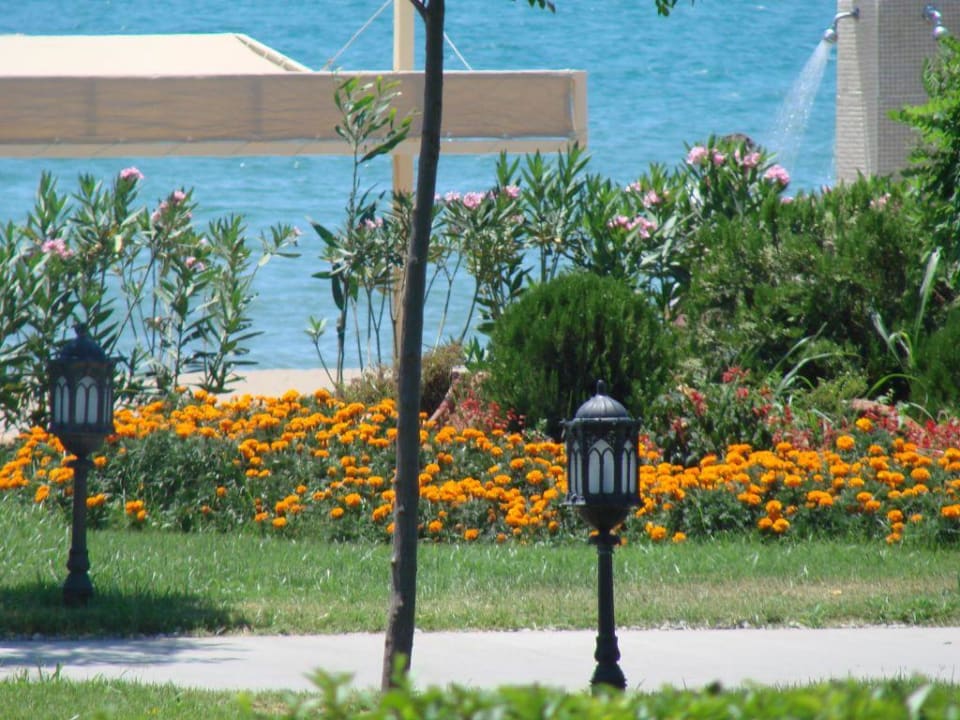 Ogrod Spice Hotel & Spa