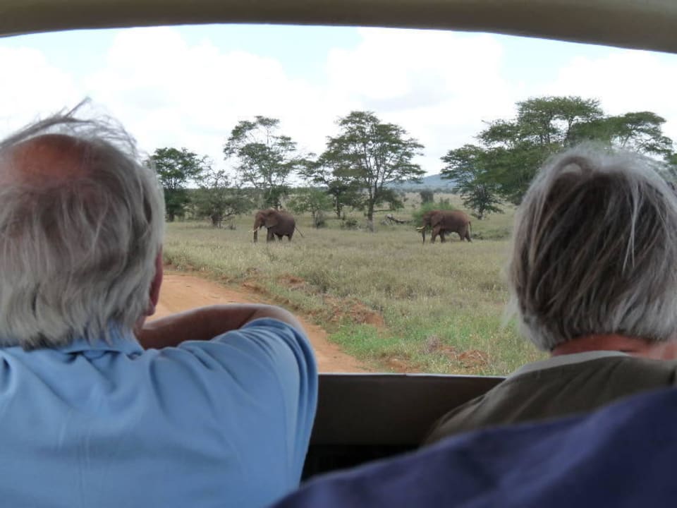 Gamedrive im Lumo-Sanctuary Lions Bluff Safari Camp