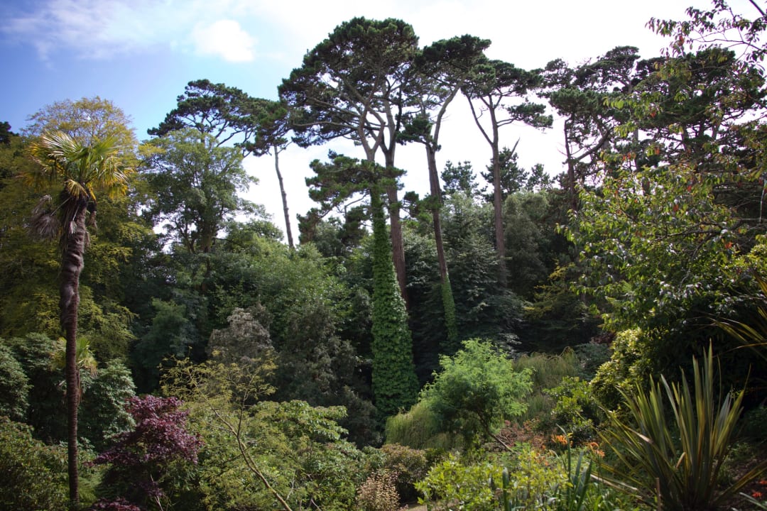 Ausblick Meudon Hotel