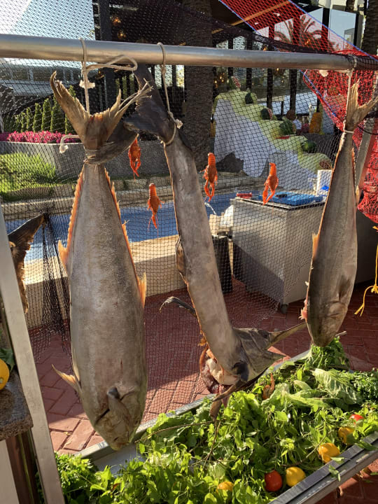 Gastro Monachus Family Resort Sorgun