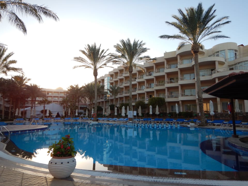 Pool Sea Star Beau Rivage