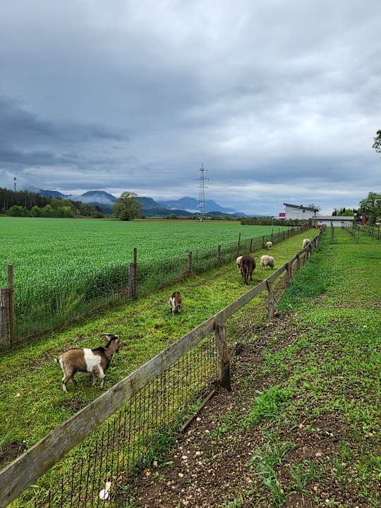 Außenansicht Appartements und Vinoteka David