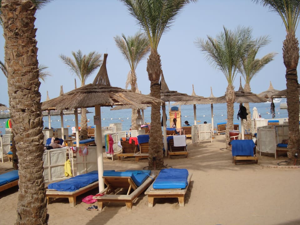 Strand Beach Albatros Resort
