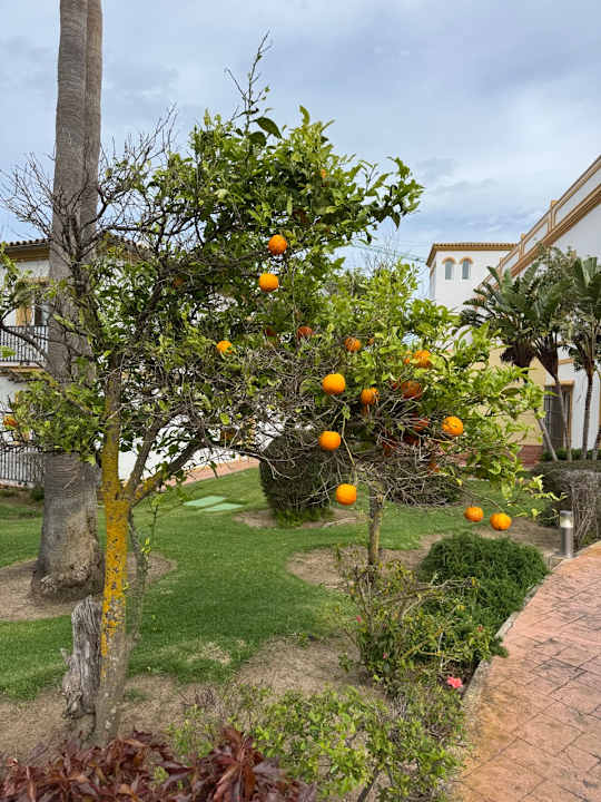 Außenansicht Aldiana Club Andalusien