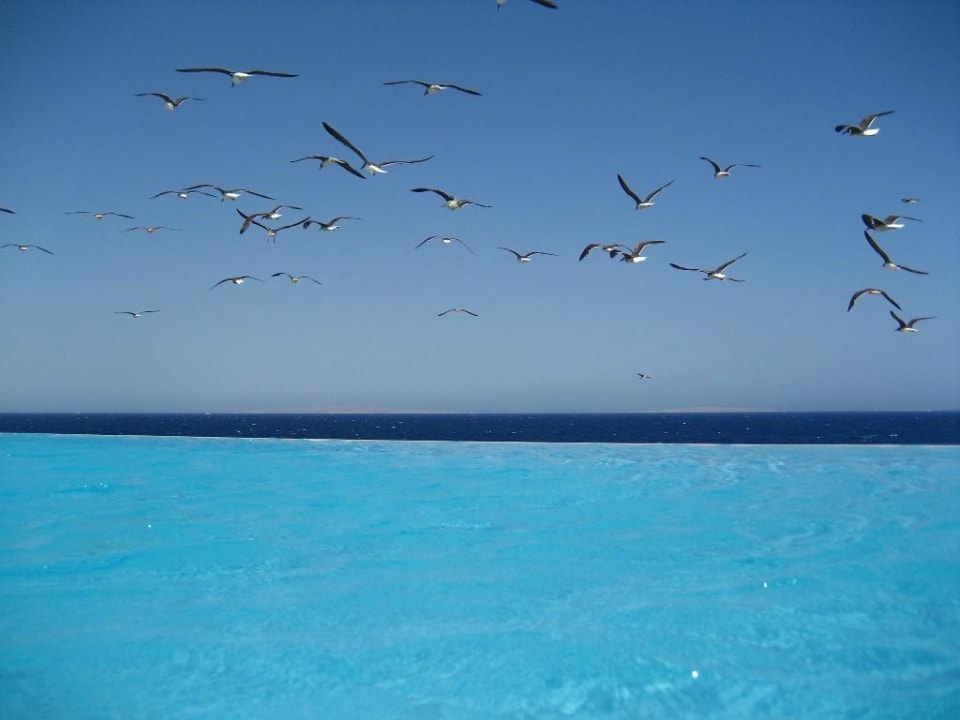 The Oberoi Sahl Hasheesh, Pool The Oberoi Beach Resort, Sahl Hasheesh