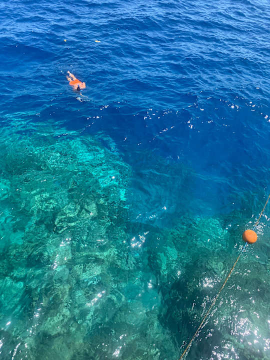 Strand Steigenberger Resort Alaya Marsa Alam - Red Sea - Adults only