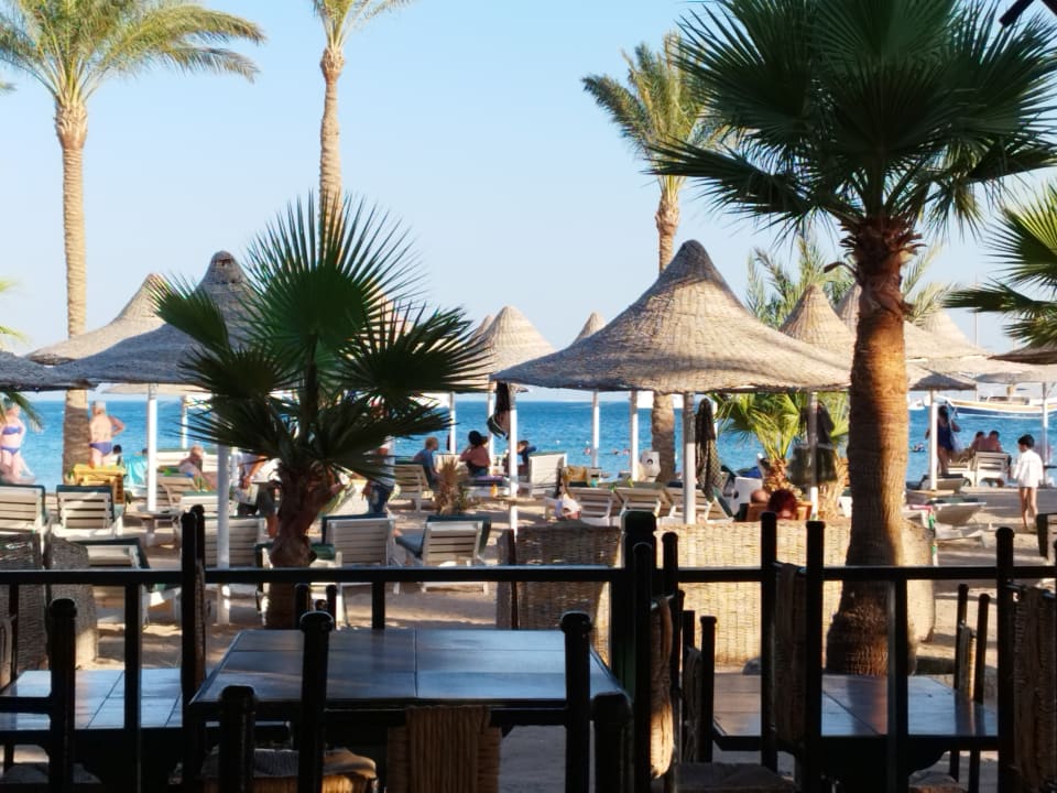 Gastro Giftun Azur Resort